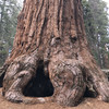 Национальный Парк Секвоя (Sequoia National Park)