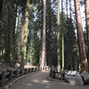 Национальный Парк Секвоя (Sequoia National Park)