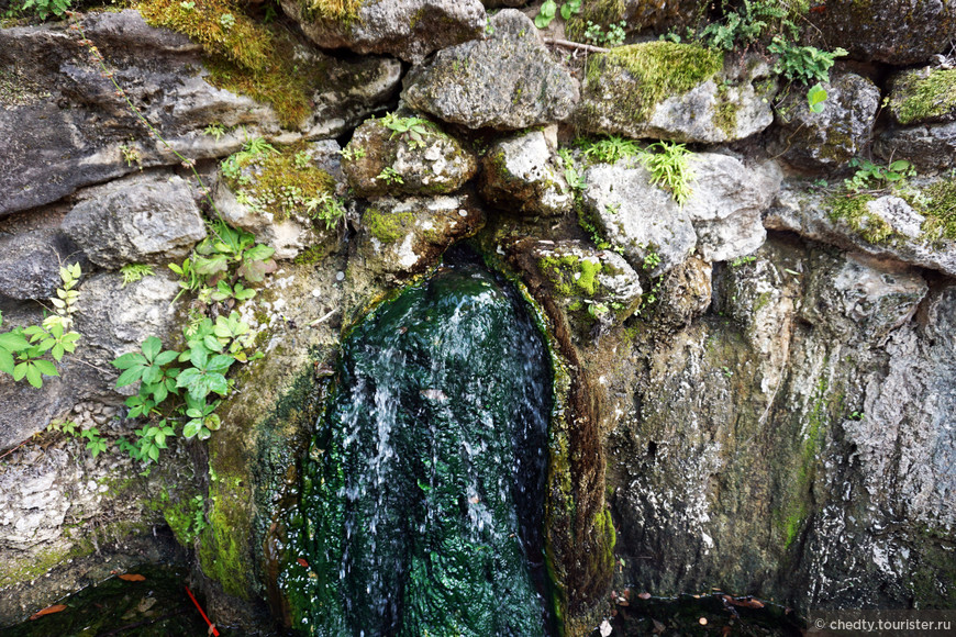 Обратите внимание на ярко зеленый цвет. Это какие водоросли умудряются жить прямо в газированной воде при температуре 64 градуса.
