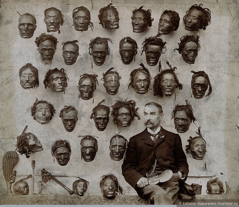 Фото 1895 года. Сейчас эта коллекция голов хранится в Американском музее естественной истории, куда её продал Робли в те времена за солидную сумму в 1250 фунтов. 