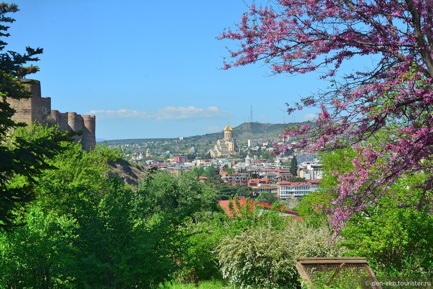 Тбилиси, ботанический сад