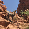 Долина Огня (Valley of Fire State Park)