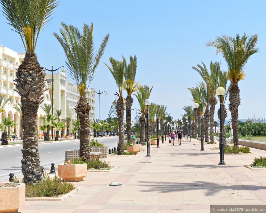 Хаммамет, Тунис (Hammamet, Tunisia)