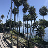 Однодневный прогулочный тур «Лазурное побережье и Острова Южной Калифорнии»