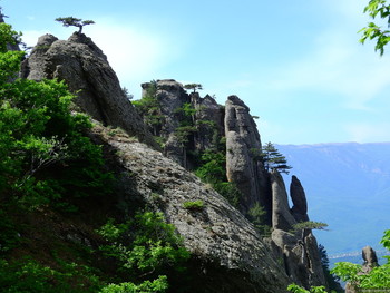 Леса в Крыму закрыли на три недели