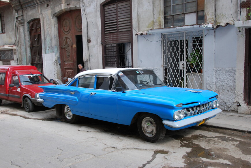 Голубой альмендрон. Гавана.