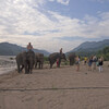 День 4. Луангпрабанг. Катание купание на слонах.