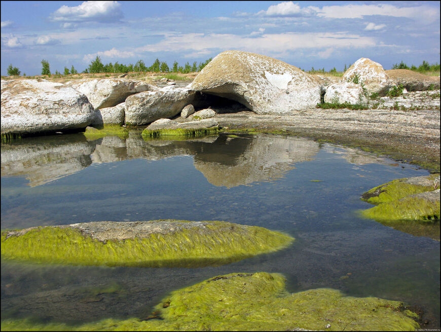 Озеро Шалкар (Северо-Казахстанская область)