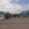 День 1. Луангпрабанг. Катание и купание на слонах.