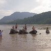 День 1. Луангпрабанг. Катание и купание на слонах.