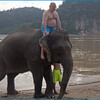 Катание и купание на слонах