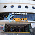 Большой Сочинский дельфинарий парка «Ривьера»