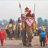 Фестиваль слонов в Сайнябули