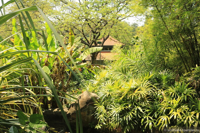 Ботанический сад в Куала Лумпур, Малайзия