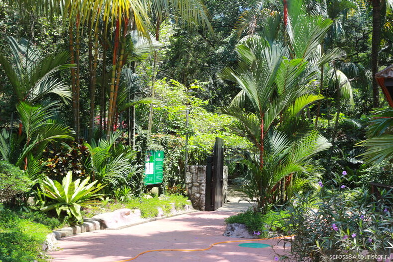 Ботанический сад в Куала Лумпур, Малайзия