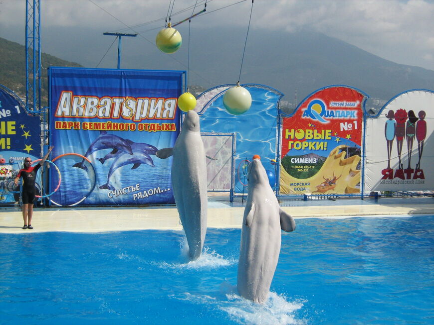 Театр морских животных «Акватория»