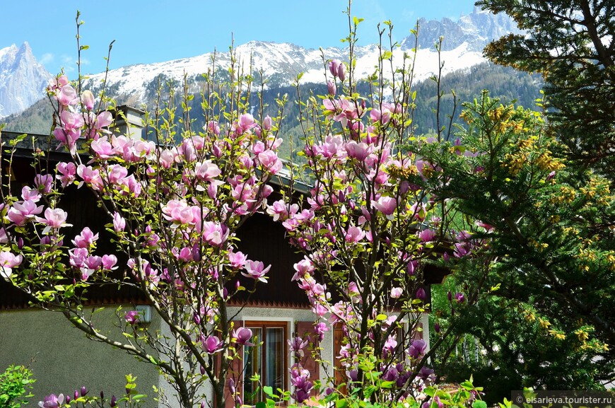 Майское цветение на фоне снежных вершин. Франция — Швейцария