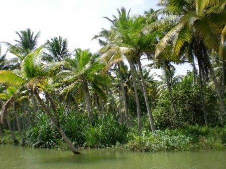 Poovar Island Resort — маленький рай... на земле