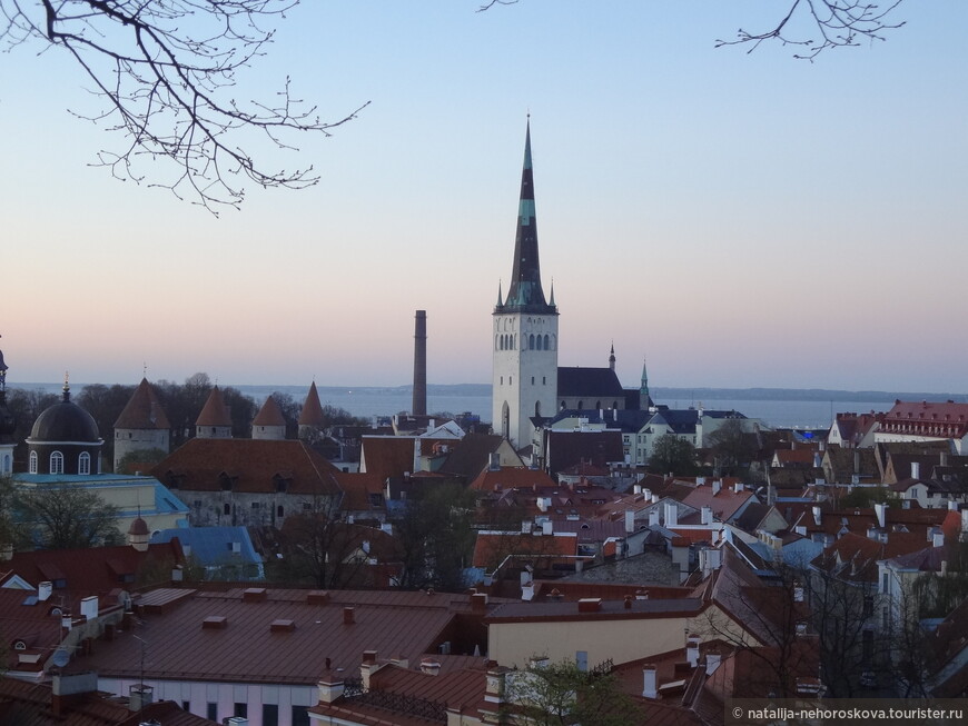 Эстония. Путешествие недалеко и ненадолго