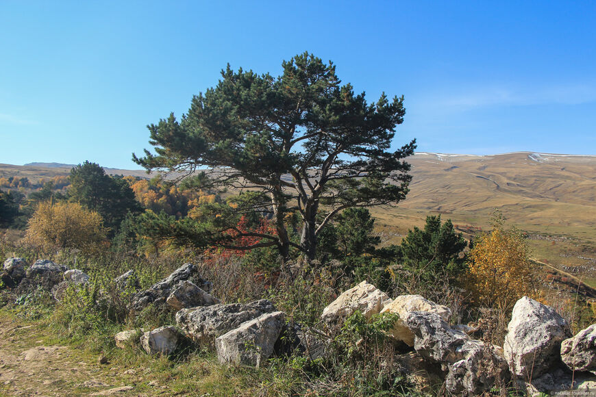 Плато Лагонаки