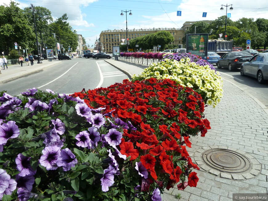 Санкт-Петербург. Северная цветочная столица