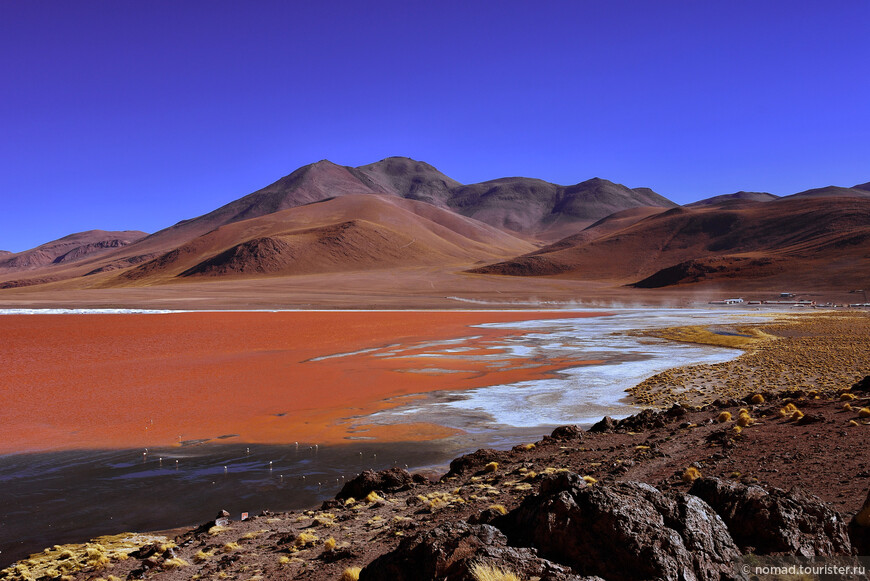 Bolivia te espera! Часть 5