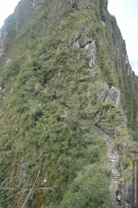 Лестница на вершину Уайна - Пикчу.