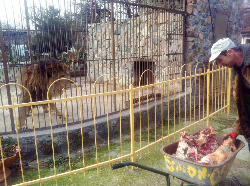Зоопарк в Симферополе