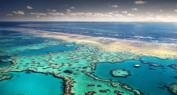 В Австралии для спасения Большого Барьерного рифа будут стрелять солью в небо  