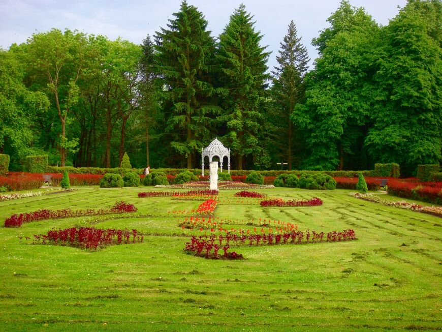 Ботанический сад в Минске