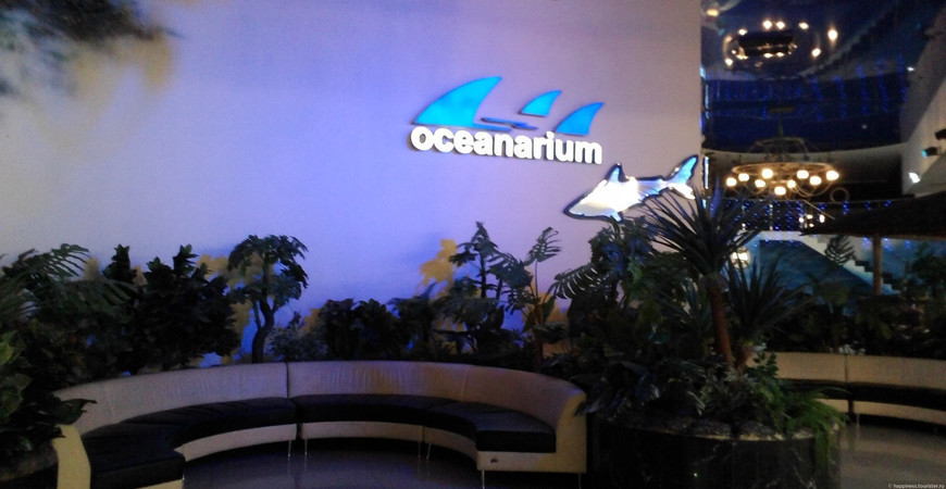 Океанариум Ocean Park