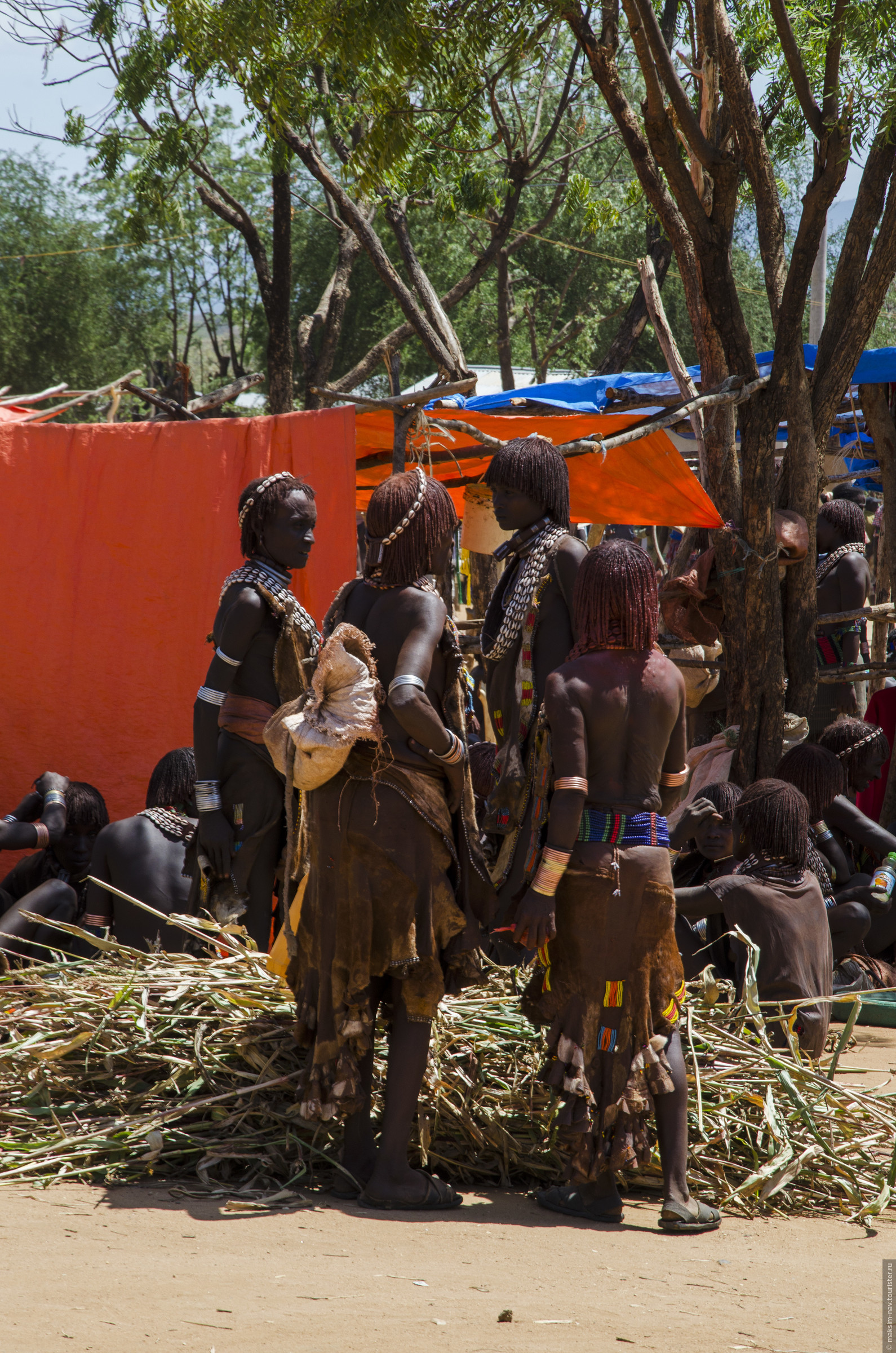 Tribe 4. Племя Хамер Эфиопия. Племя Хамер Эфиопия прыжки через Быков. Африканское племя Хамер инициация.
