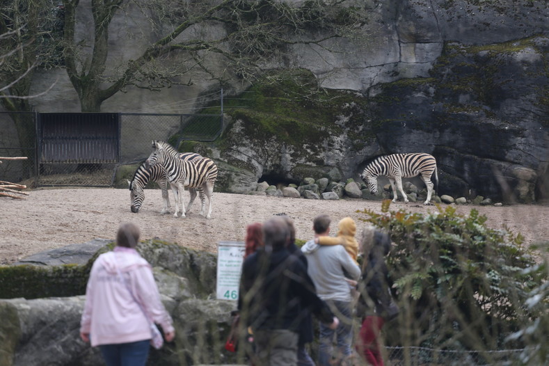 Первый в мире зоопарк!