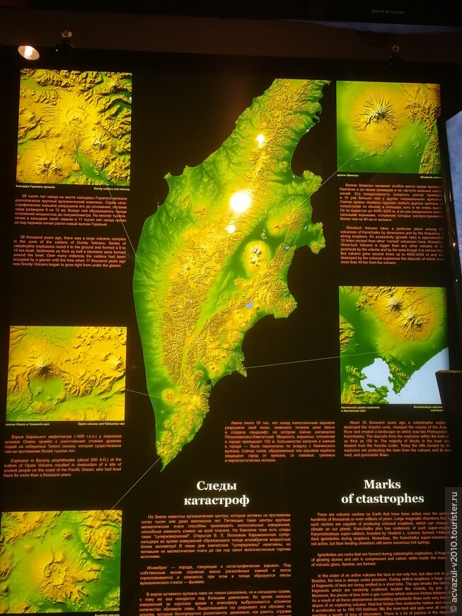 В вулканариуме Петропавловска-Камчатского