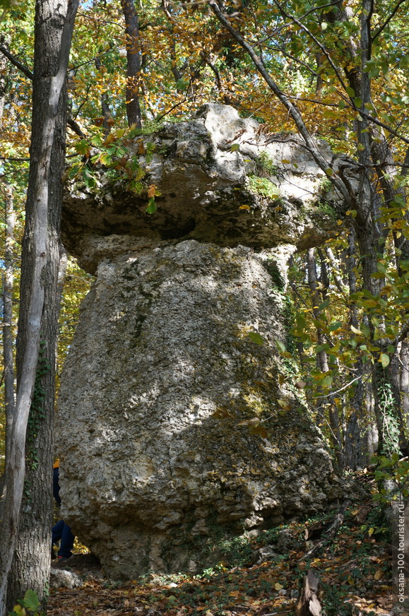В поход за каменными грибами из Симферополя