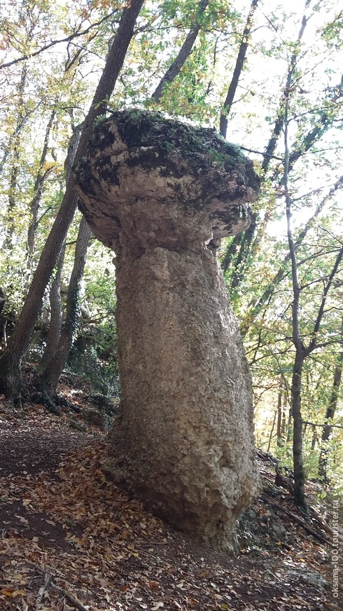 В поход за каменными грибами из Симферополя