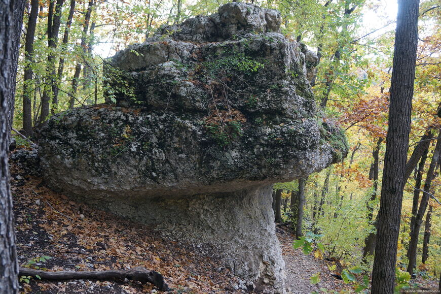 Каменные грибы Малого Салгира