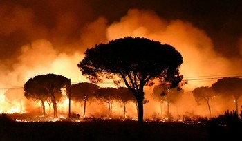 В Валенсии из-за пожаров эвакуированы почти 2 500 человек