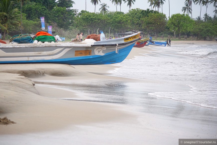 Шри-Ланка. В далеком Бенгальском заливе… (день седьмой и так далее)
