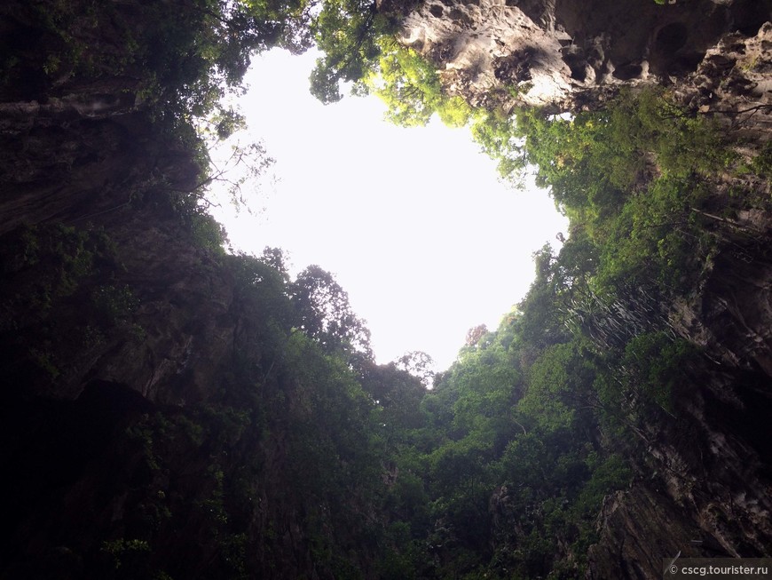 День 8. Пещеры Бату и национальный парк Таман Негара