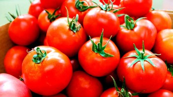 В итальянской Апулии пройдёт Фестиваль томатов 