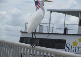 Clearwater Beach,Florida, USA