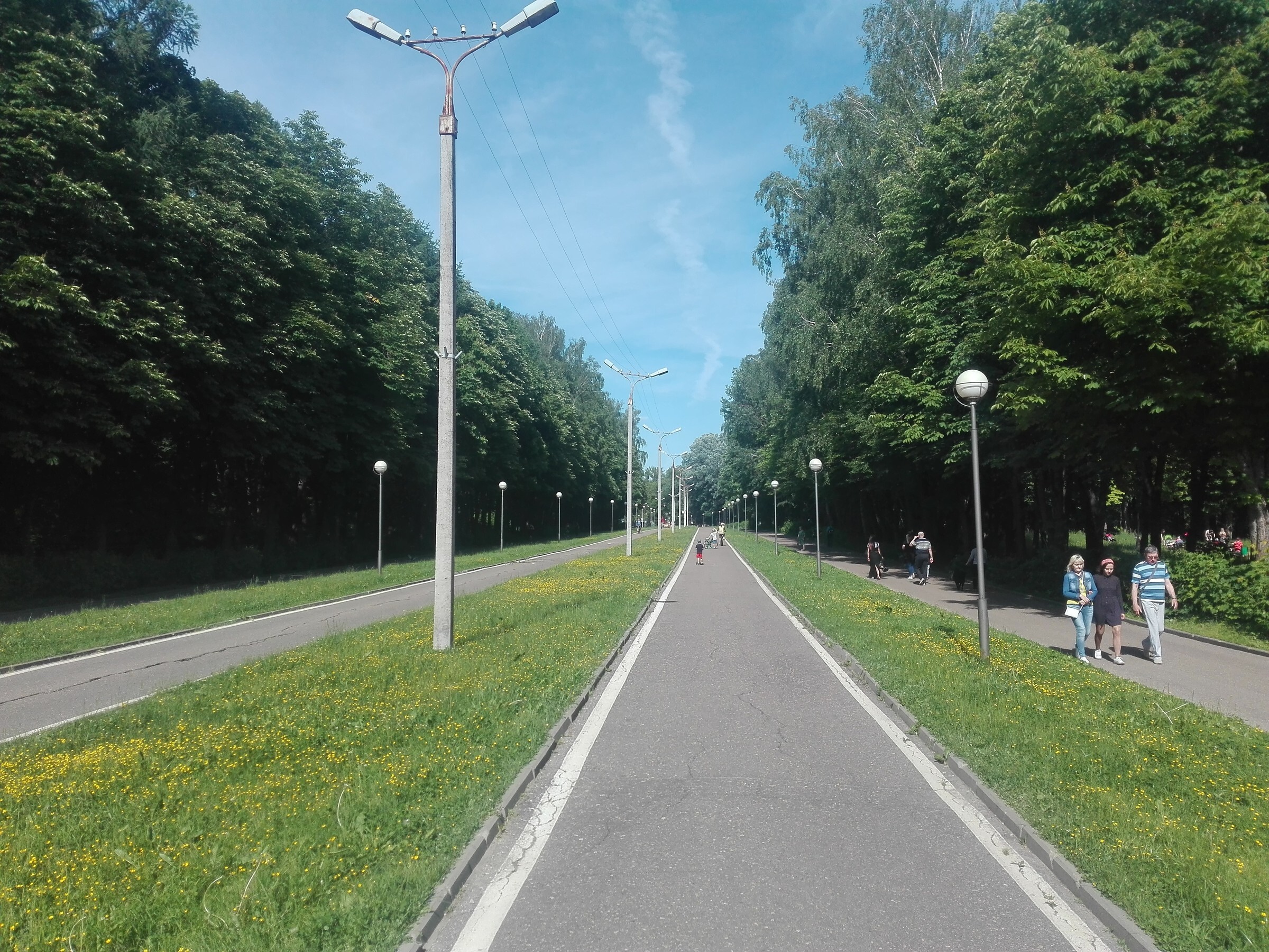 Карта рядовского парка смоленск