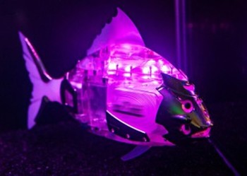 Аквариум с рыбами-роботами появился на ВДНХ