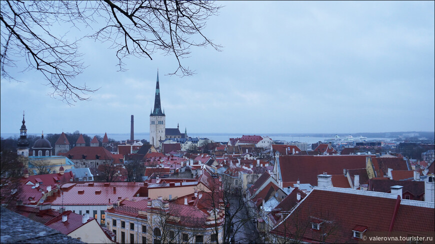 Миры старого города. Таллин