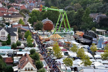 В Германии пройдёт крупнейший Фестиваль вина 