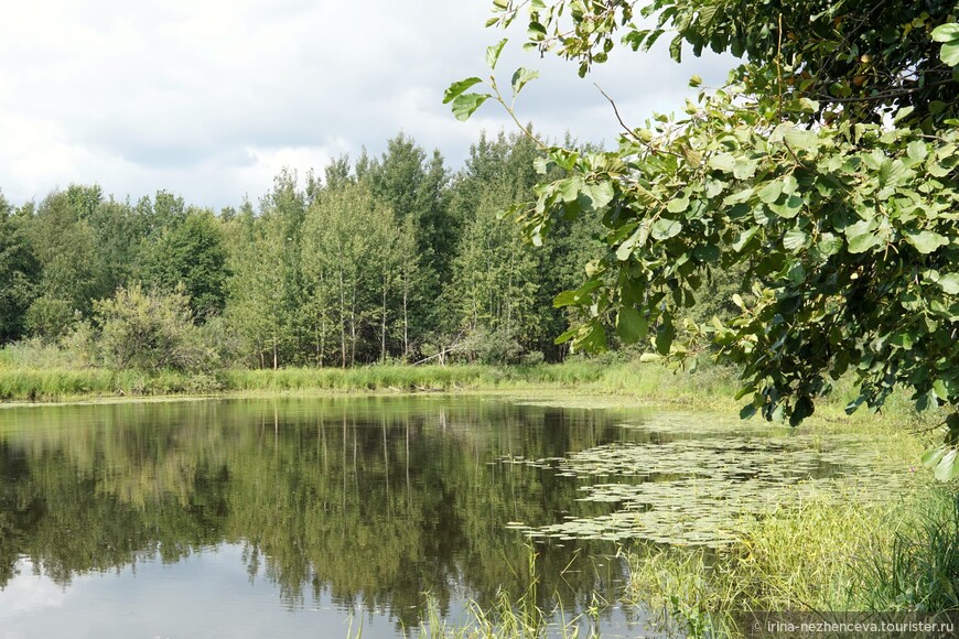 Однодневное велопутешествие по озерам и рекам Бора. Нижегородская область