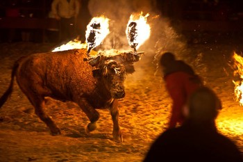 В Испании на фестивале бык с горящими рогами напал на туриста