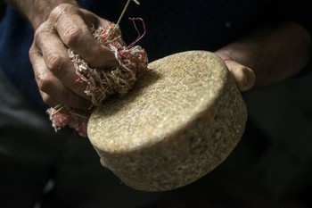 В Италии пройдёт Международный фестиваль сыра