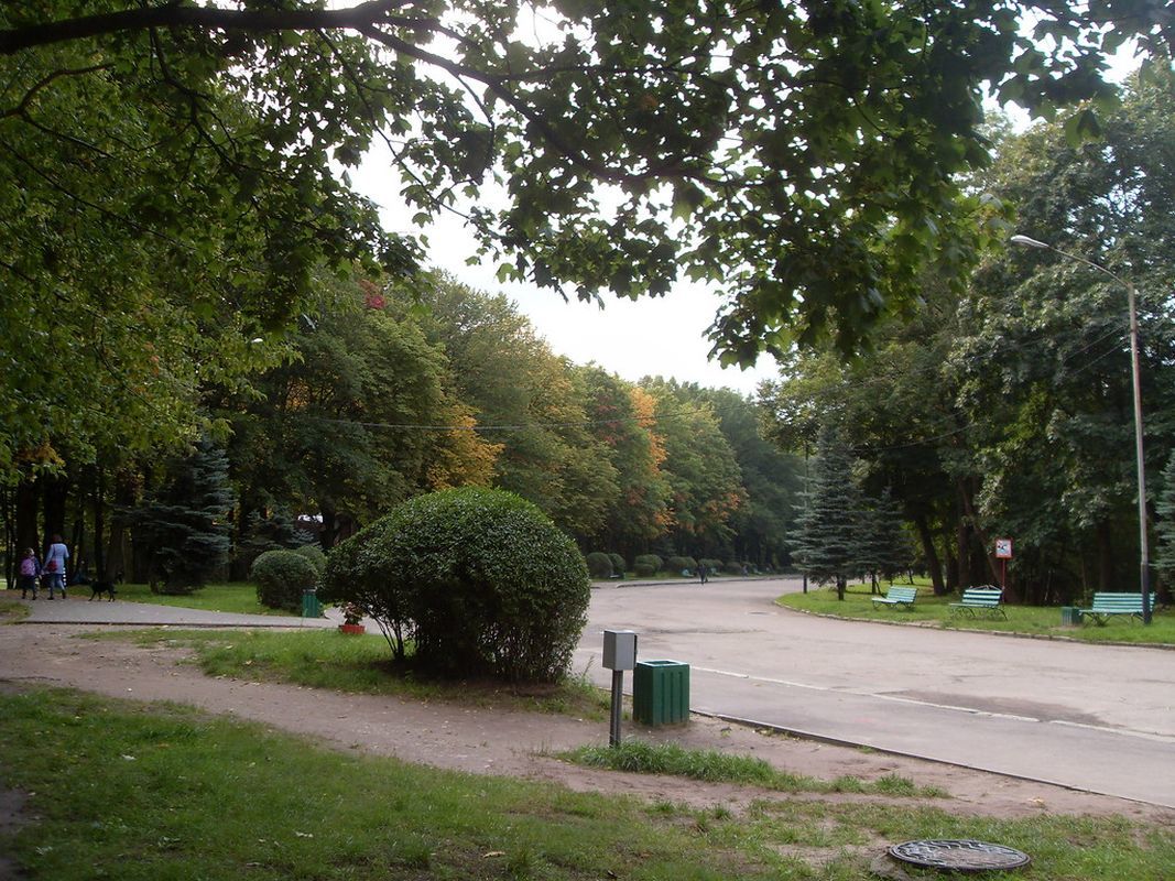 Парк Южный Калининград Фото